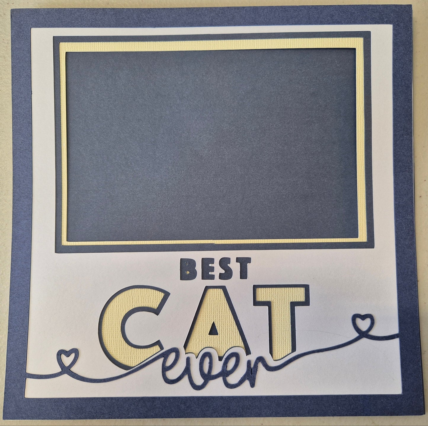 Best Cat Ever Shadow Box Picture Frame Insert 8"x8"