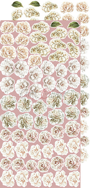 Rose Emotions Extras Set - FLowers & More