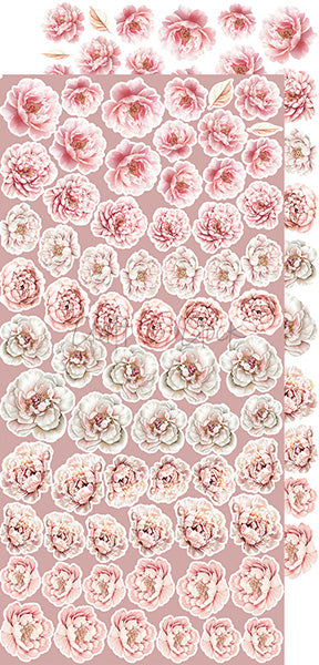 Rose Emotions Extras Set - FLowers & More