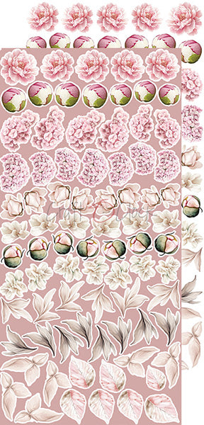 Rose Emotions Extras Set - FLowers & More