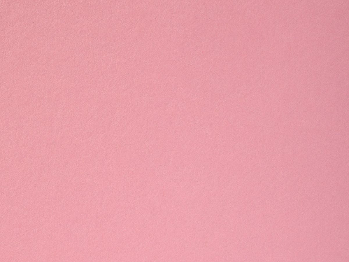 Flamingo Cardstock
