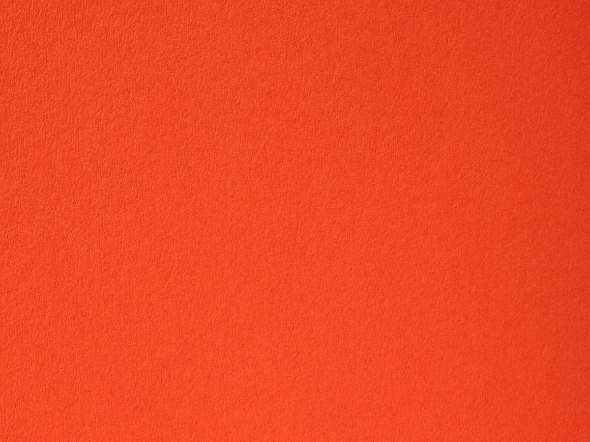 Lobster Cardstock