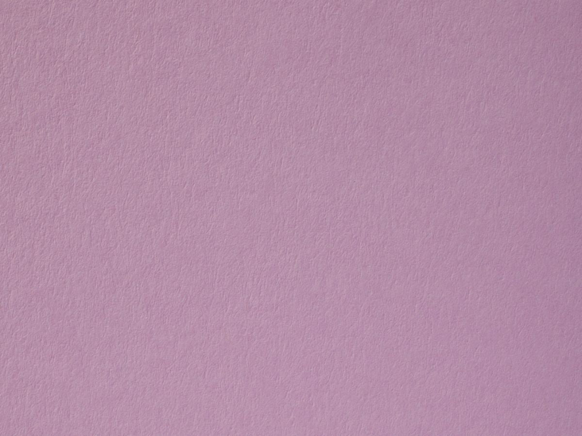 Orchid Cardstock