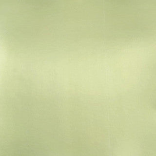 Pastel Lime Soft Metallic Cardstock
