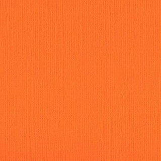 Pumpkin Mash Cardstock