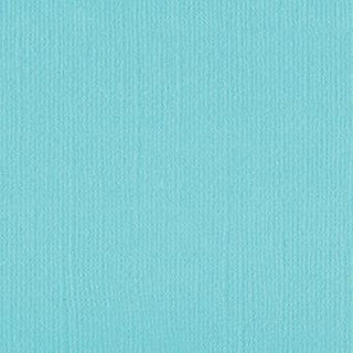 Iceburg Cardstock