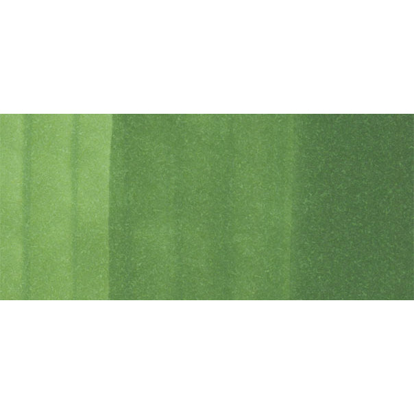 Copic Ciao YG67-Moss