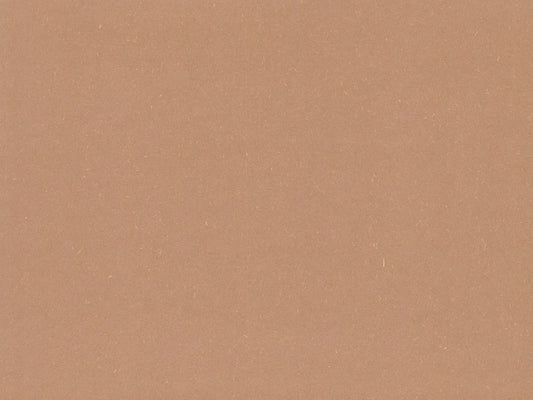 Cinnamon Earthly Recycled Cardstock
