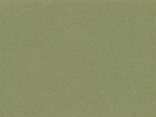 Parsley Earthly Recycled Cardstock