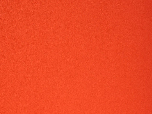Lobster Cardstock