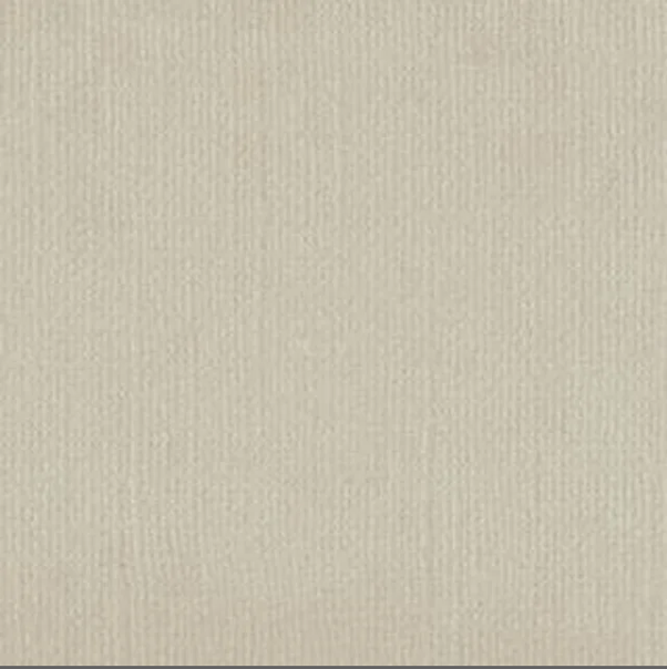 Kookaburra Cardstock