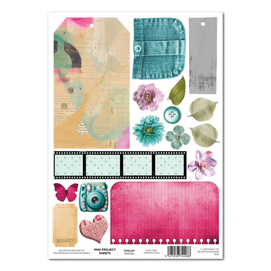 Teenage Dream Mini Project Sheet