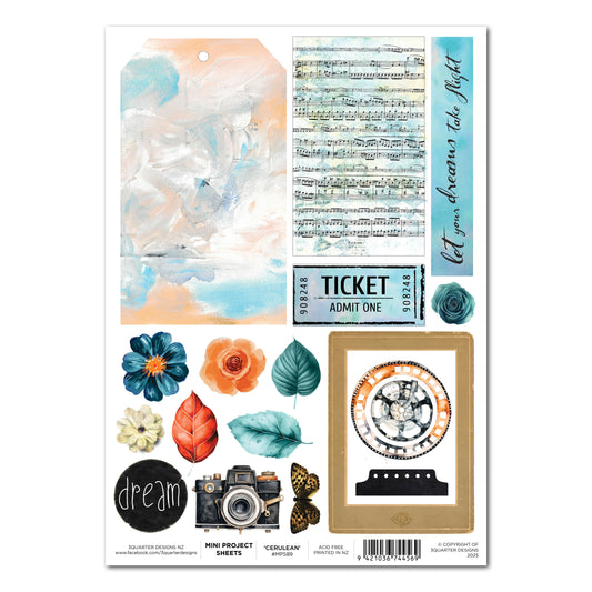 Cerulean Score Mini Project Sheet