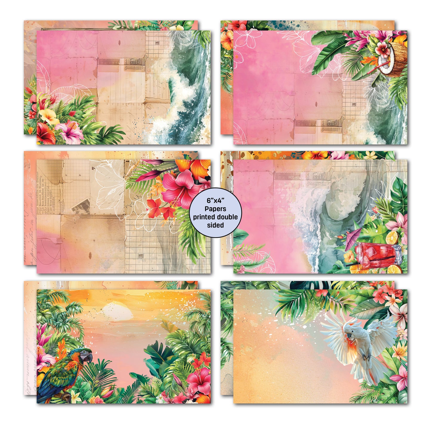 Tropic Excursion 6x4 Card Pack