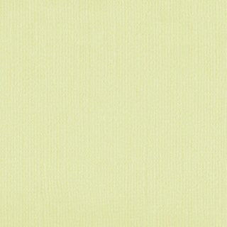 Bone White Cardstock