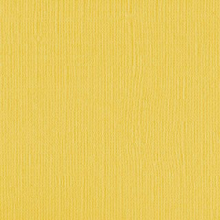 Daffodil Cardstock