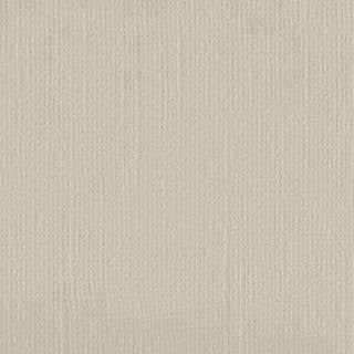 Rhino Cardstock