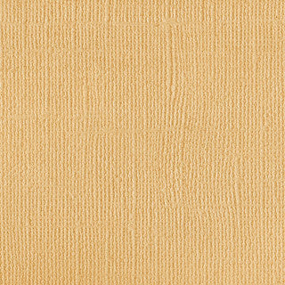 Sandy Beach Cardstock