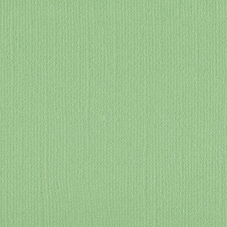 Spring Bud Cardstock